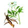 component